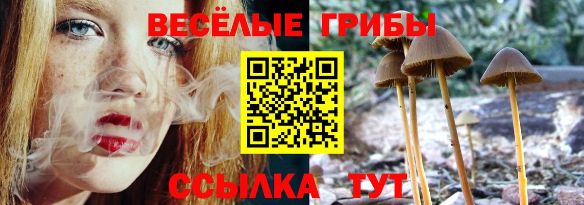Псилоцибиновые грибы прущие грибы Новотроицк