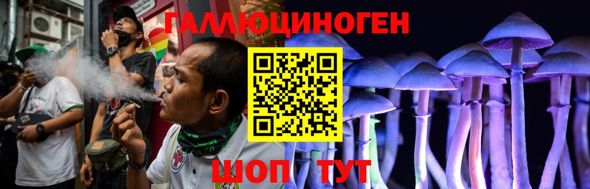 Галлюциногенные грибы Psilocybe  Вход с VPN  Новотроицк 